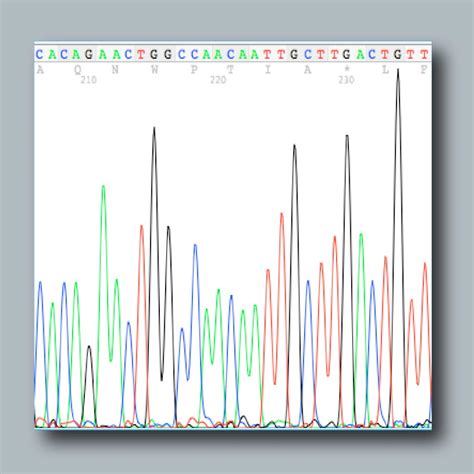 Image result for DNA Sequencing