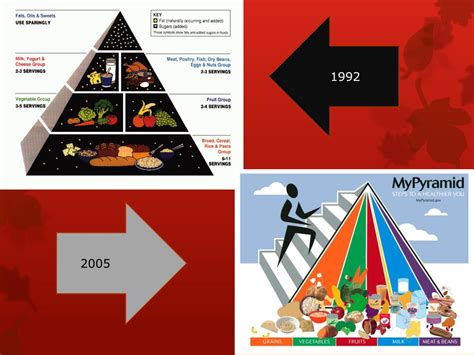 Image result for MyPyramid