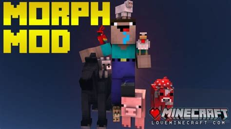 Image result for How to Install Forge Morph Mod