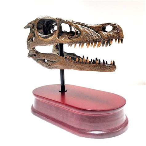 Buy JYJTLHS Raptor Dragon Head Skull Skeleton, Dinosaur Velociraptor ...