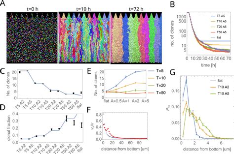 Experiment Computer Modelling 的图像结果