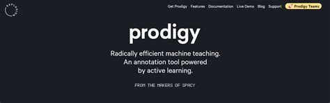 Image result for Prodigy Pro
