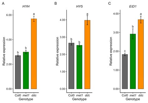 DNA Methylation Fine-Tunes Light- and Hormone-Responsive Growth ...