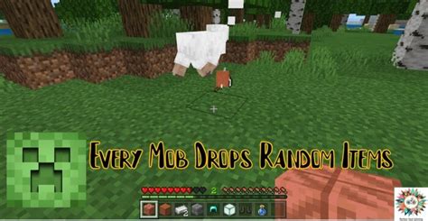 Random Drop Mod for Minecraft 的图像结果