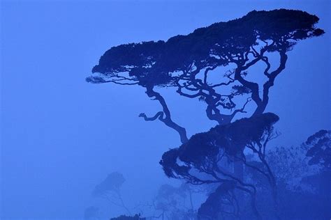 2026 Hortan Plains Tour From Kandy - with Reviews & Photos