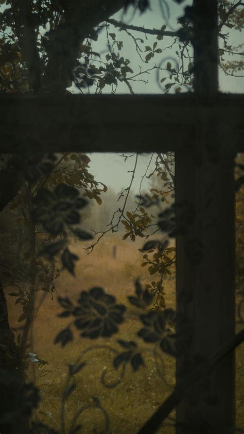 Image result for Window Outside View