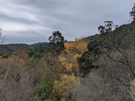 Stevens Canyon Trail - California | AllTrails