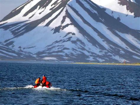 Kamchatka In Early Summer - Sea Mammals, Whales, Birds, Bears And ...