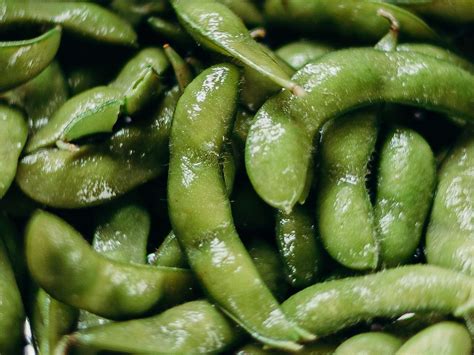 Edamame VS Soybeans: Which is Better? | Foodaciously