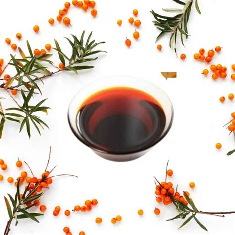 Sea Buckthorn Oil - Sea Buckthorn Seed Hair Oil Manufacturer from Jaipur
