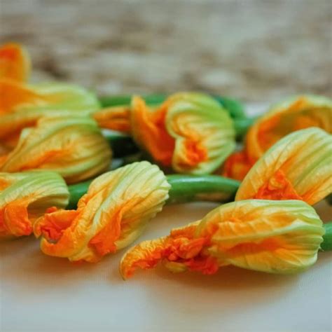 What Does Zucchini Taste Like? A Guide and Tips for Best Flavor - Simple And Savory
