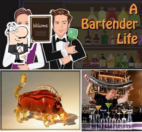 Bar Tender, India - Restaurant reviews