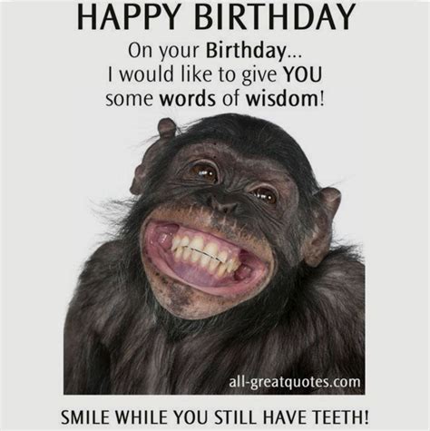 Funny Happy Birthday Images, Happy Birthday Funny, Birthday Wishes ...