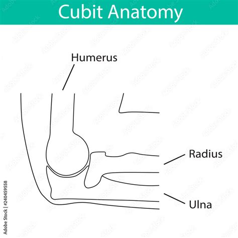 Image result for Cubit Form Work