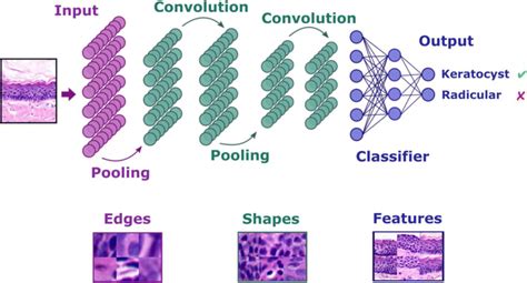 Image result for Mechanism Convolution Neural Networks Algorithm
