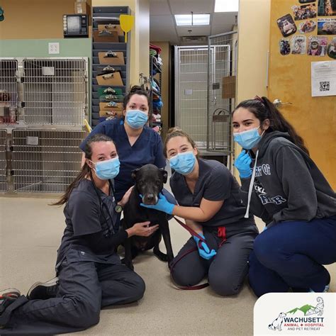 Wachusett Veterinary Hospital