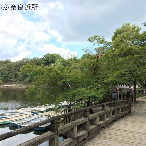 SAGI POND (2026) All You Need to Know BEFORE You Go (with Photos ...