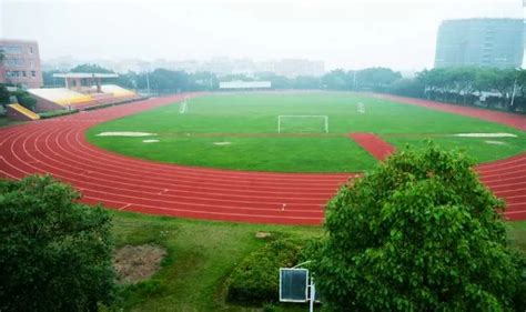 Image result for Running Track Maintenance