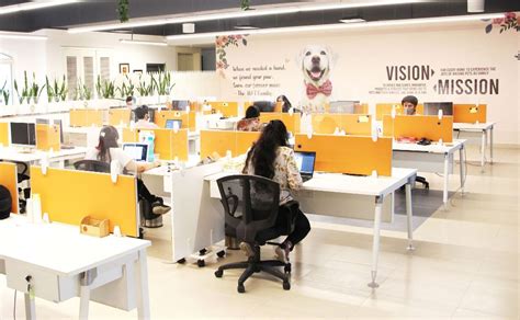 Heads Up For Tails Office Photos