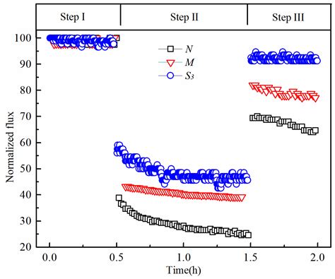 Preparation and Characterization of Hydrophilically Modified PVDF ...