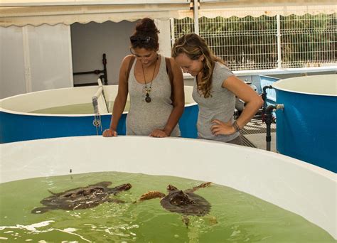 Besuch bei der Schildkrötenstation