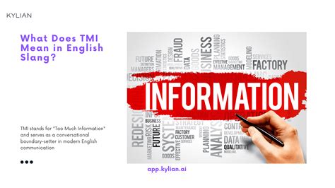 TMI Definition & Meaning