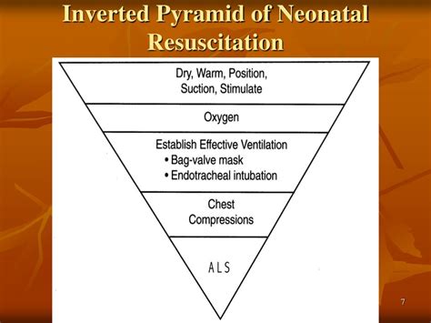 What Is A Resuscitation Triangle Role at Tina Philpott blog