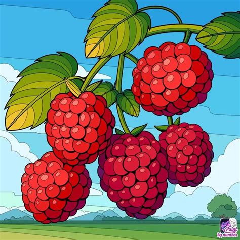 Image result for Raspberry Color Artwork