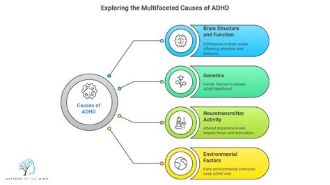 What Is ADHD? Signs, Causes & Treatment for Young Adults