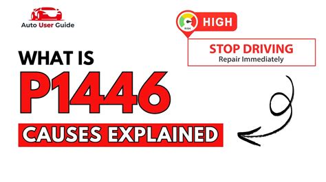 Image result for Code P1446