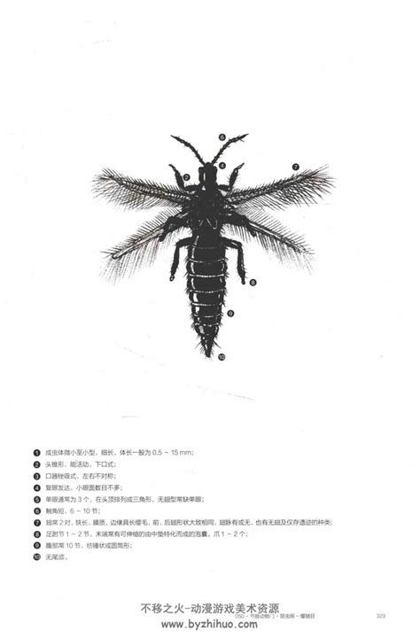 Image result for Digital Matrix Code