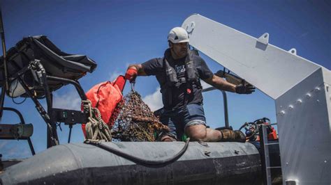 Discarded Fishing Gear a Major Source of Ocean Pollution: Greenpeace ...