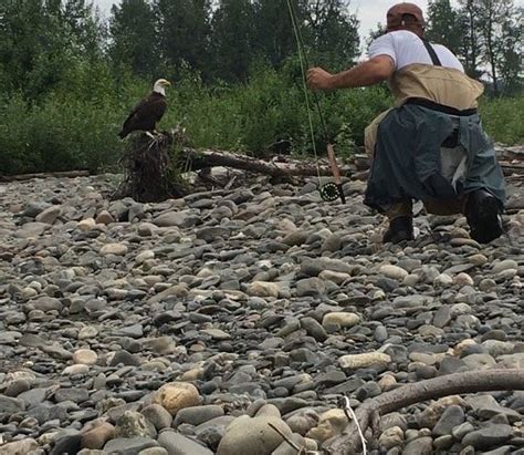 TALKEETNA 4X4 ADVENTURES (2025) All You Need to Know BEFORE You Go ...