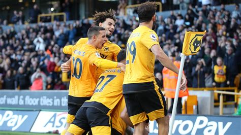 Image result for Wolves Live Today