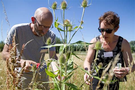 DNA Barcoding Library 的图像结果