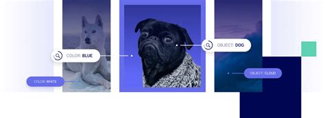 Free AI Image Recognition Software | Socialbakers