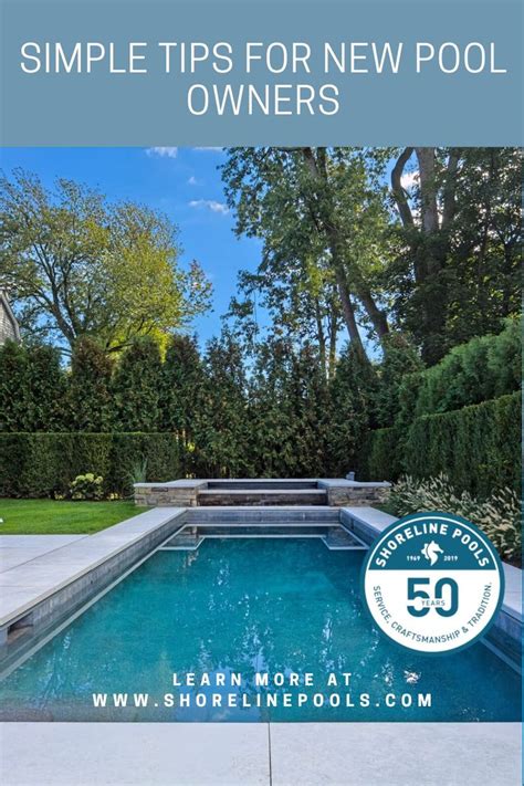 Pool Maintenance Tips 的图像结果