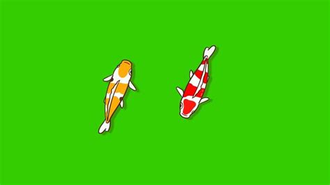 Image result for Stop Motion Fish