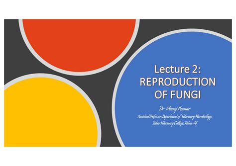 Image result for Fungi Reproduction