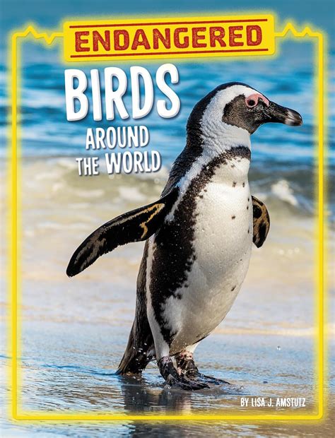 Endangered Birds Around the World : Amstutz, Lisa J.: Amazon.in: Books