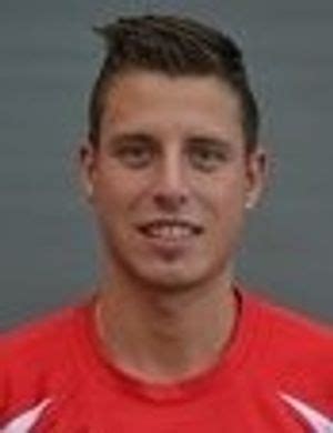 Patrick Gerber Java 的图像结果