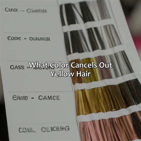What Color Cancels Out Yellow Hair - colorscombo.com