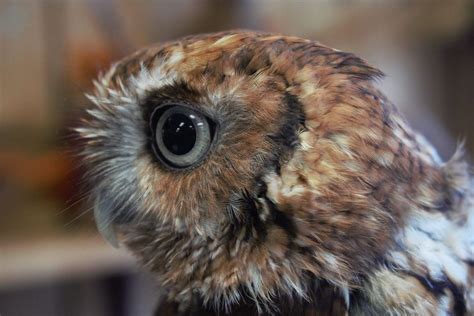 Easter Sale: 75% Off Bath & Body Line, 1819 Matthews Township Pkwy ...