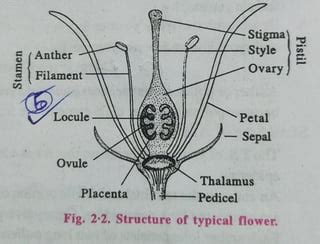 Image result for Bio Chapter 2 Class 12