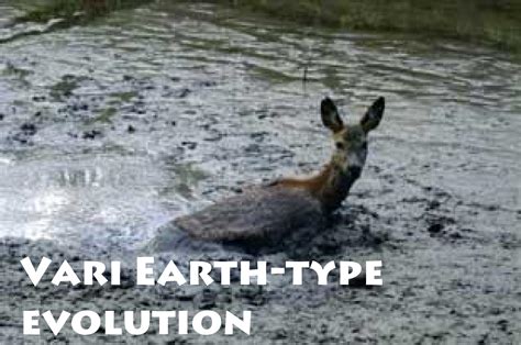 Image result for How to Get Vari Evolution