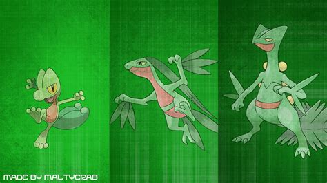Image result for Treecko Last Evolution
