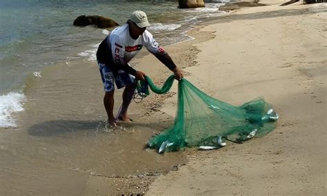 Cast Net Fishing Tips 的图像结果