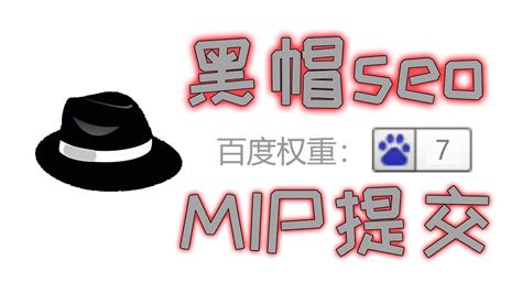 【seo】黑帽seo新域名一周百度收录量千万直达权重7，泛解析+泛目录mip提交原来是这么玩！ - YouTube