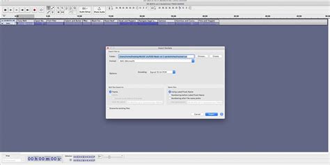 Image result for Audacity Export Labels