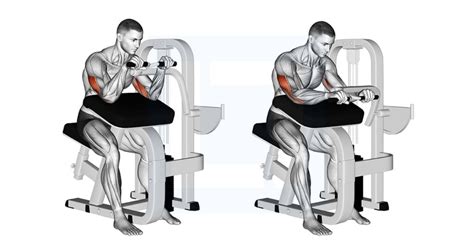 Image result for Push Back Push-Up